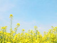 홈페이지를 오픈했습니다.